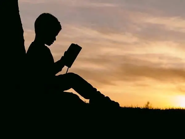 Board schools in Haiti - silhouette of child sitting behind tree during sunset