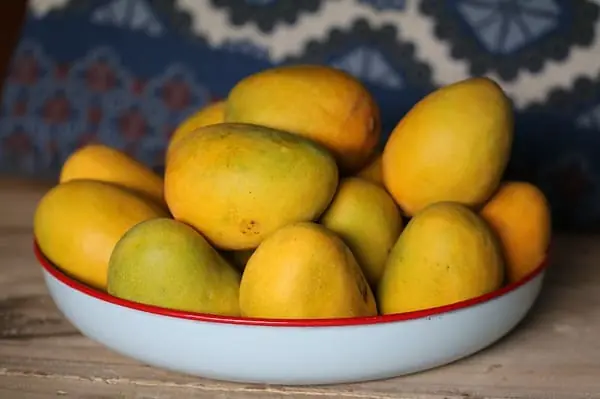 Haitian mango - picture of tray of mango