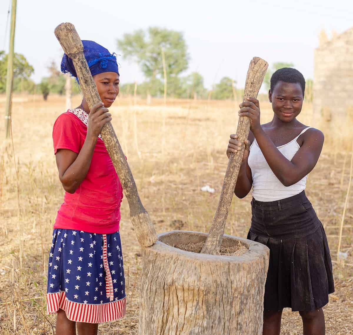 haitian Millet - featured a couple of women holding a wooden pole in a field